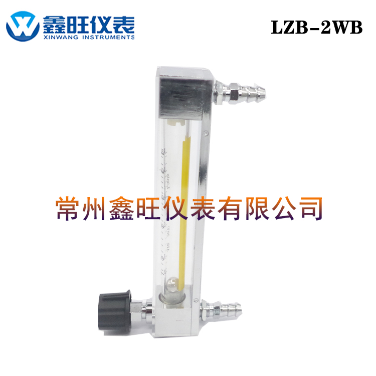 LZB-2WB玻璃轉(zhuǎn)子流量計(jì)
