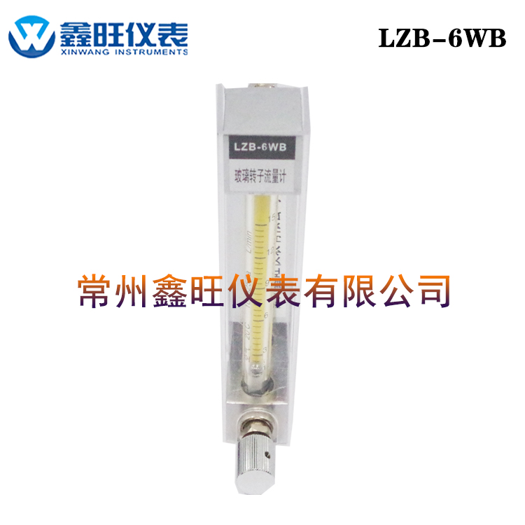 LZB-6WB玻璃轉(zhuǎn)子流量計(jì)