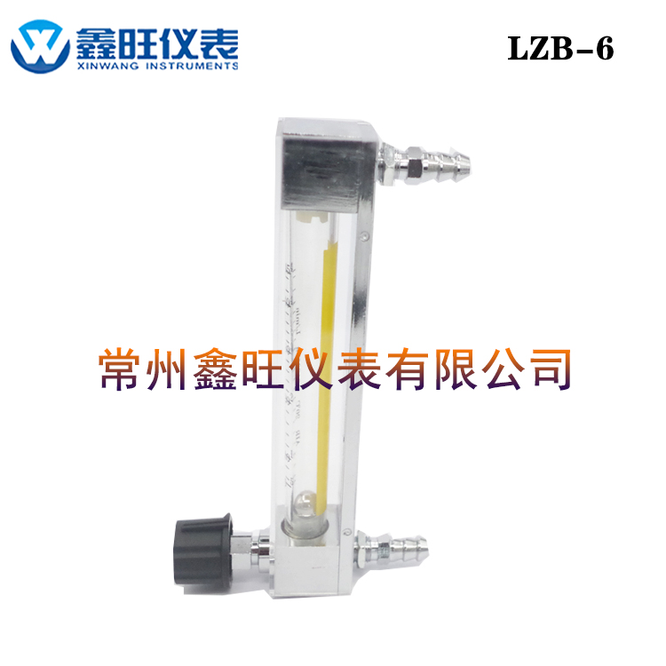 LZB-6玻璃轉(zhuǎn)子流量計(jì)