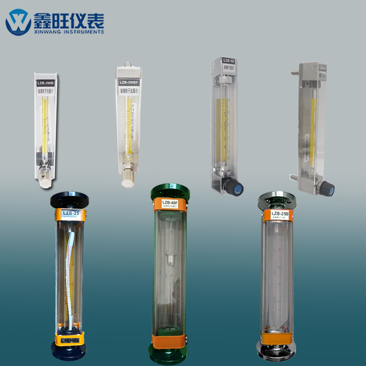 LZB-65玻璃轉(zhuǎn)子流量計(jì)